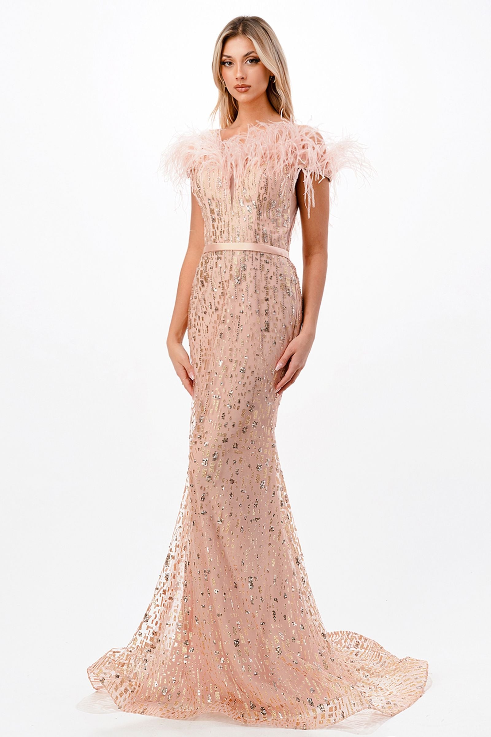 Cinderella Divine