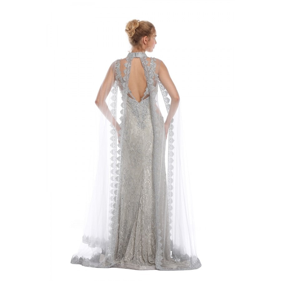Romance Caped High Neck Detailed Gown -RD1713