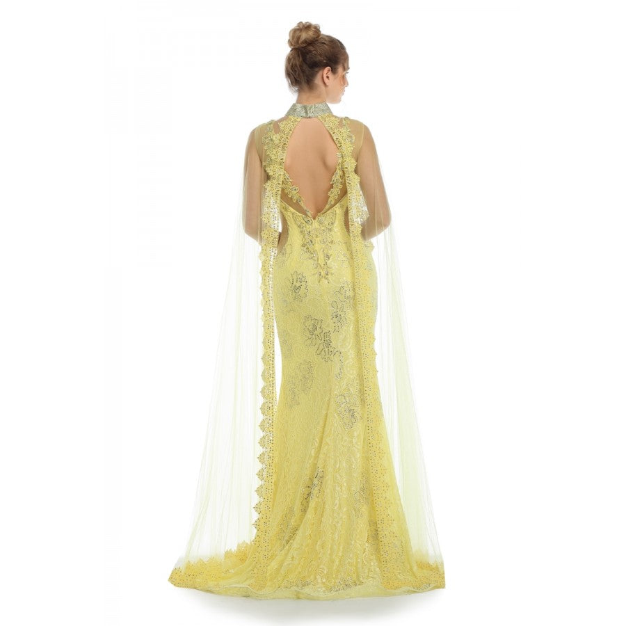 Romance Caped High Neck Detailed Gown -RD1713