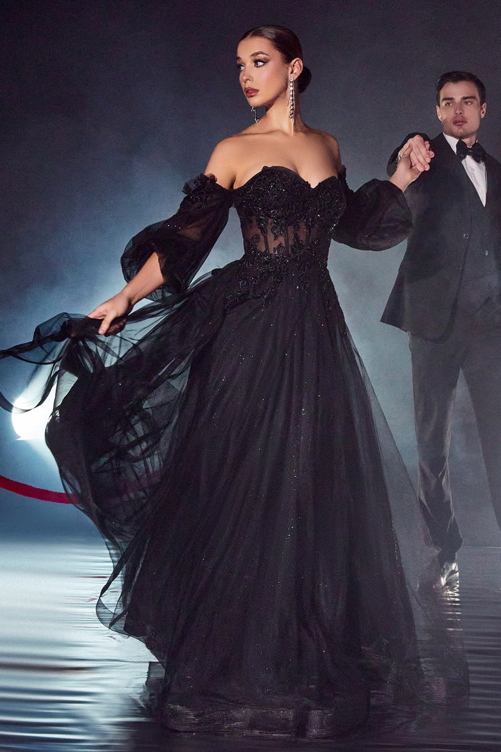 Cinderella Divine APPLIQUE CORSET GOWN CD948
