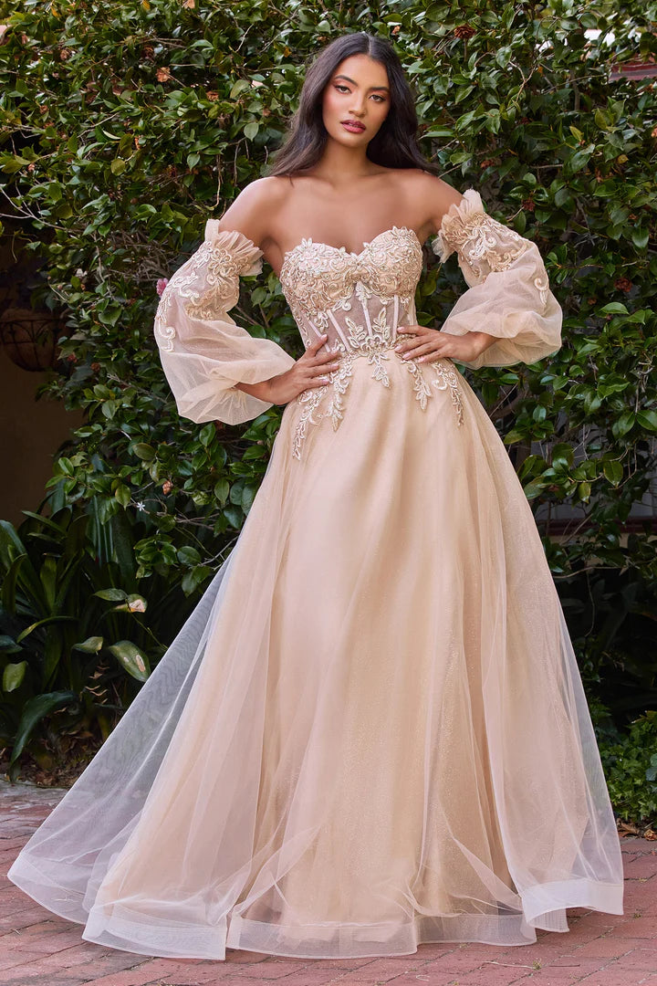 Cinderella Divine APPLIQUE CORSET GOWN CD948