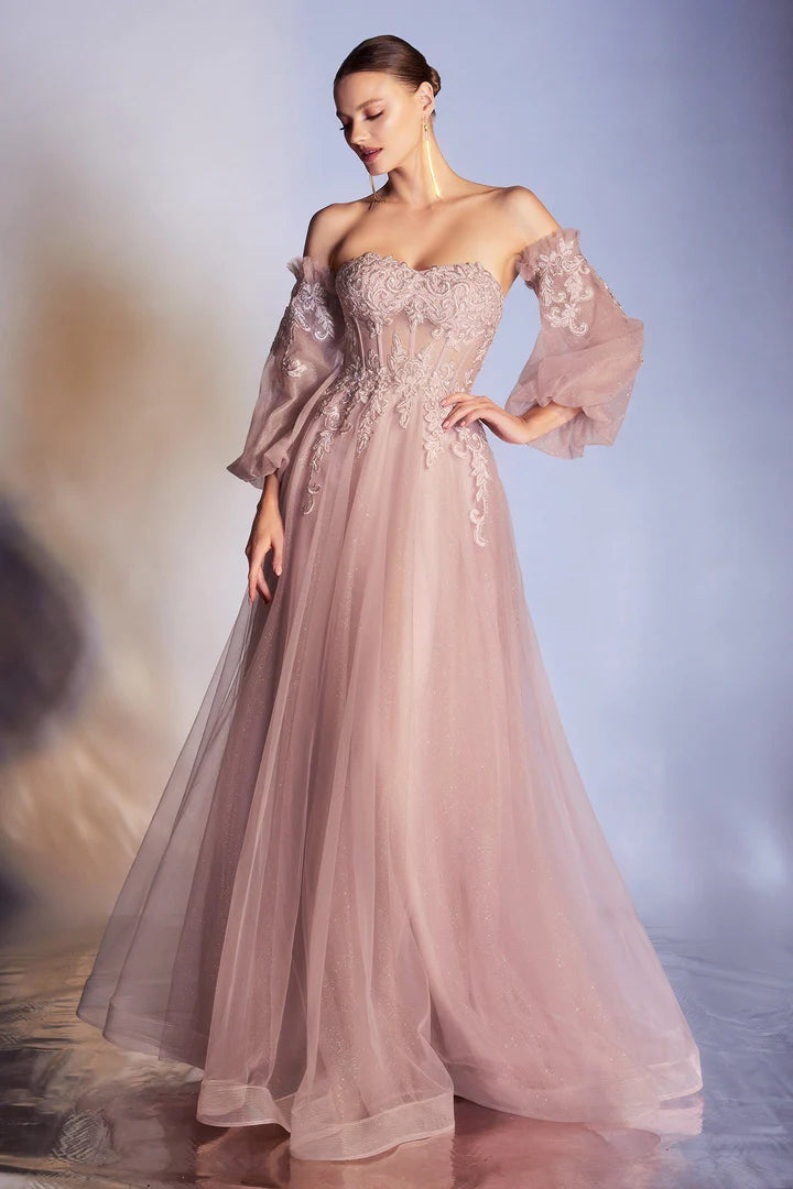 Cinderella Divine APPLIQUE CORSET GOWN CD948
