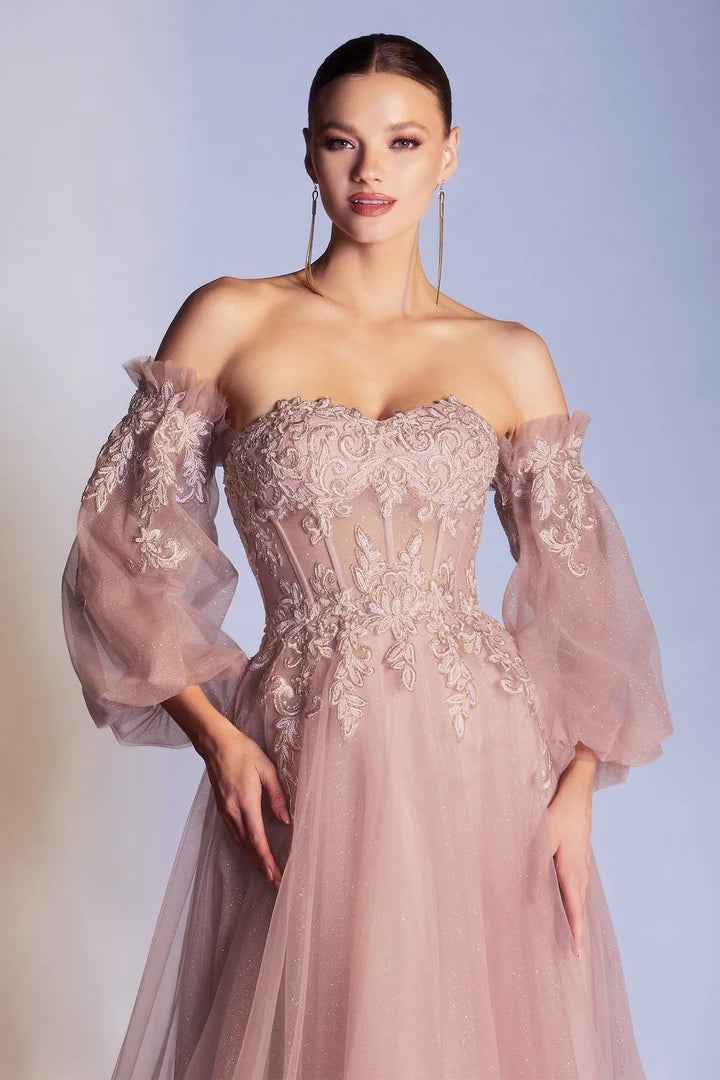 Cinderella Divine APPLIQUE CORSET GOWN CD948