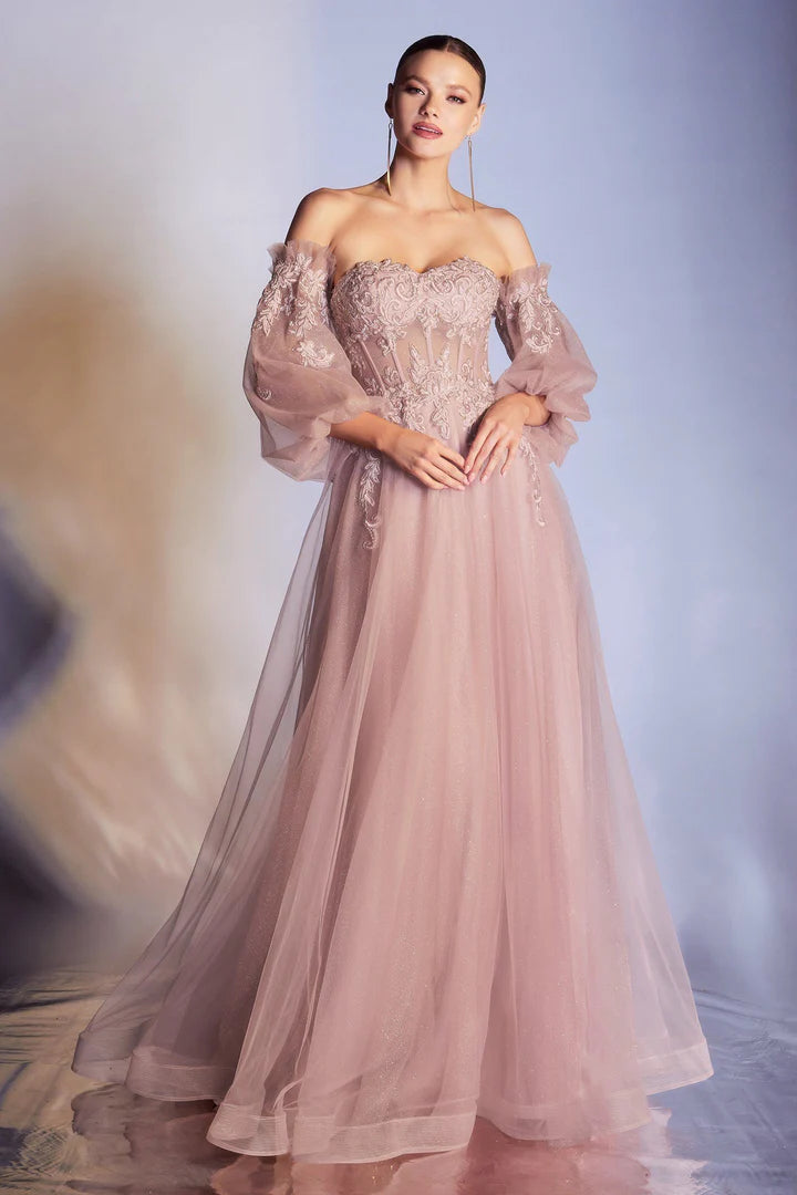 Cinderella Divine APPLIQUE CORSET GOWN CD948
