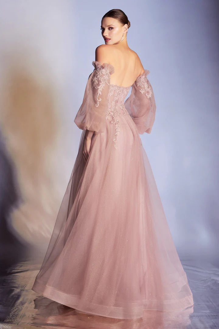 Cinderella Divine APPLIQUE CORSET GOWN CD948