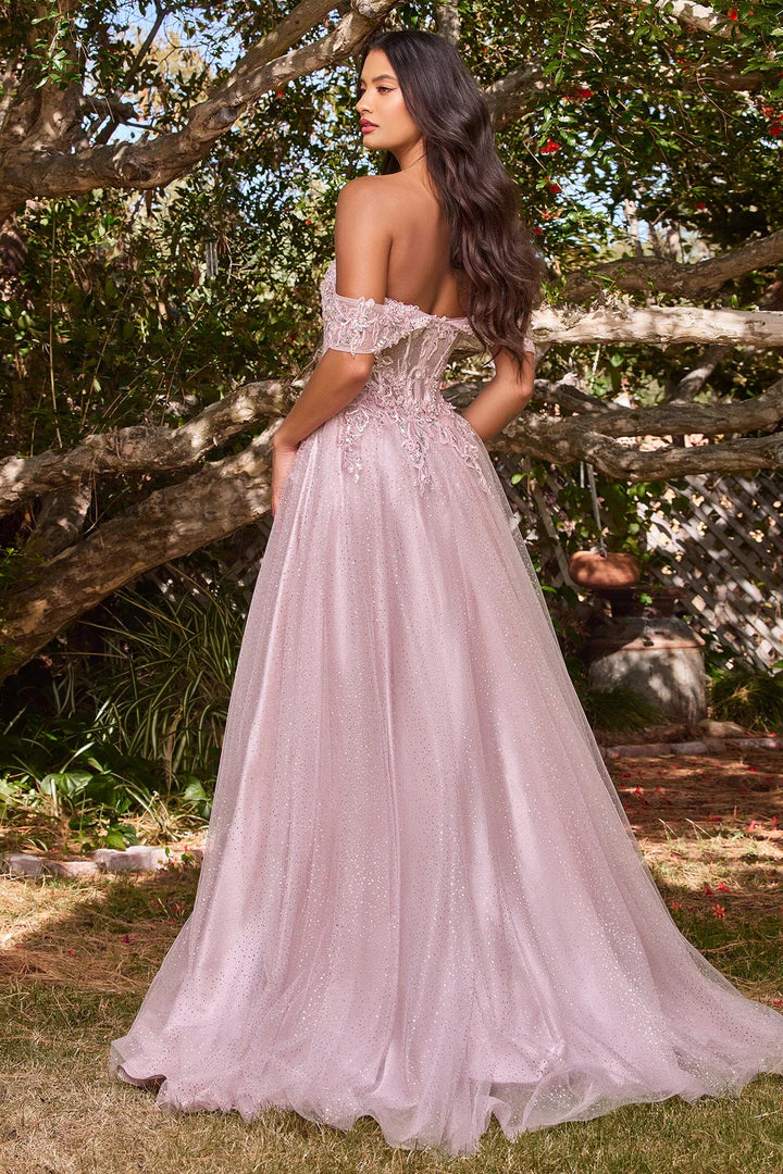 Cinderella Divine APPLIQUE OFF SHOULDER TULLE GOWN CD0198