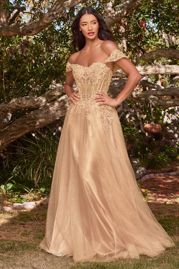 Cinderella Divine APPLIQUE OFF SHOULDER TULLE GOWN CD0198