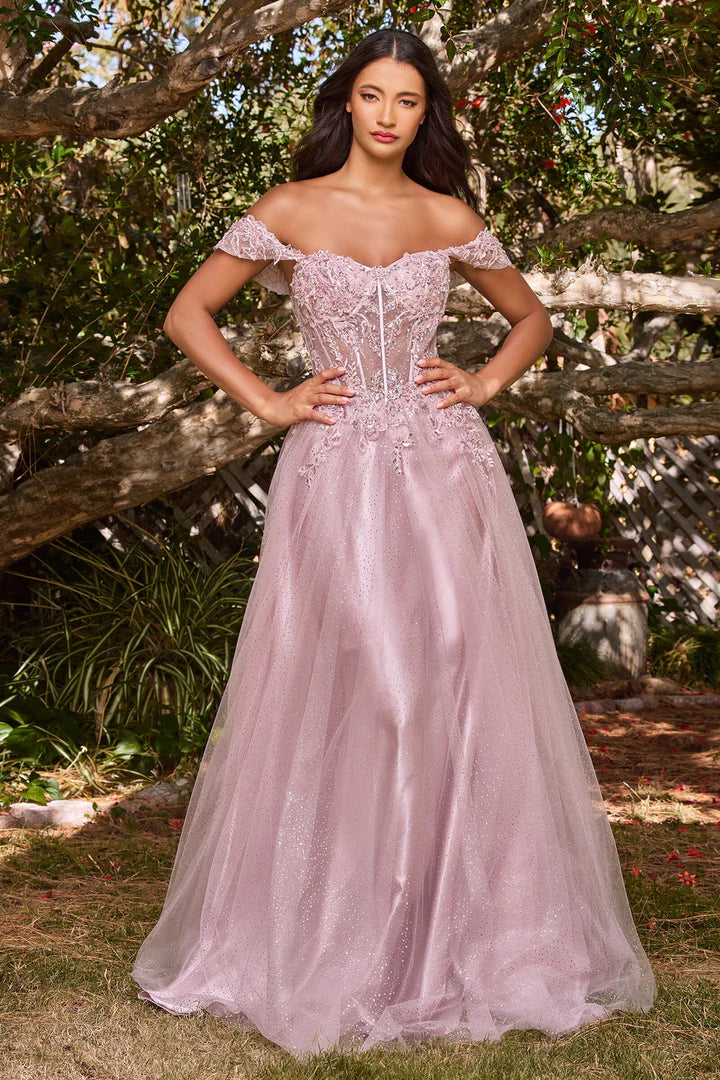 Cinderella Divine APPLIQUE OFF SHOULDER TULLE GOWN CD0198