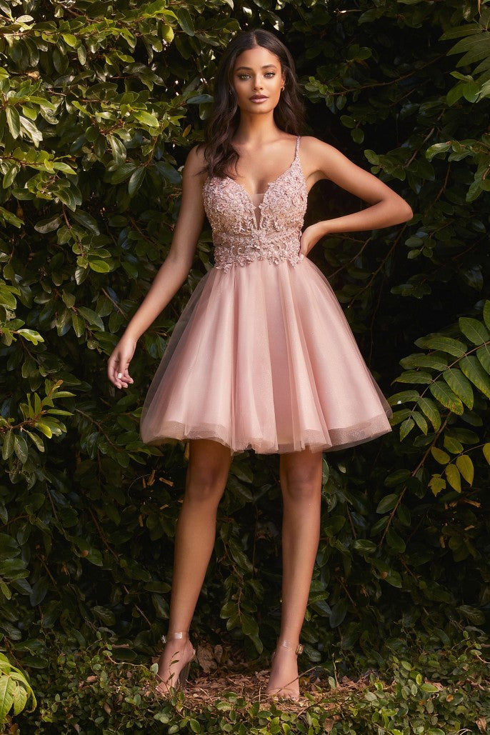 Cinderella Divine - Short A - Line Cocktail Dress #CD0190