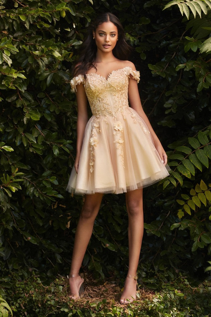 Cinderella Divine - Short Lace A- Line Off The Shoulder Dress #CD0194