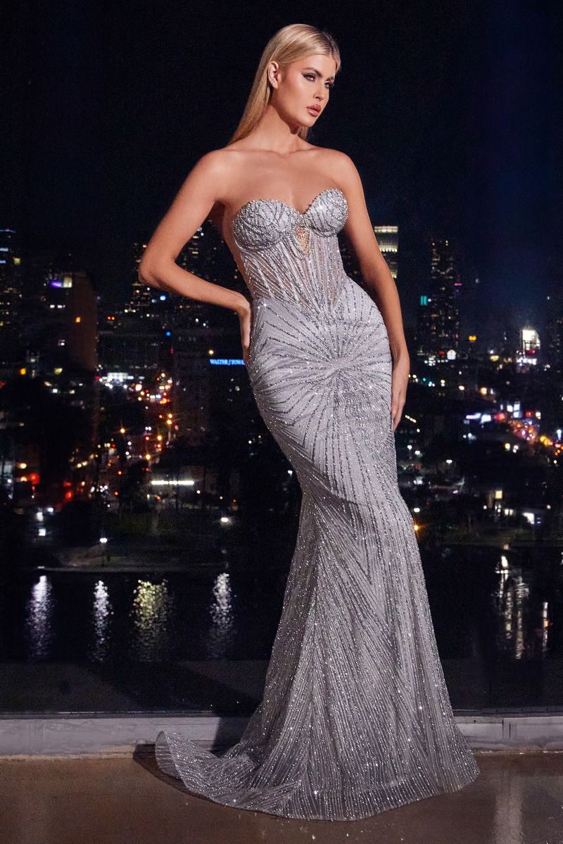 CD-J871
STRAPLESS SILVER EMBELLISHED GOWN