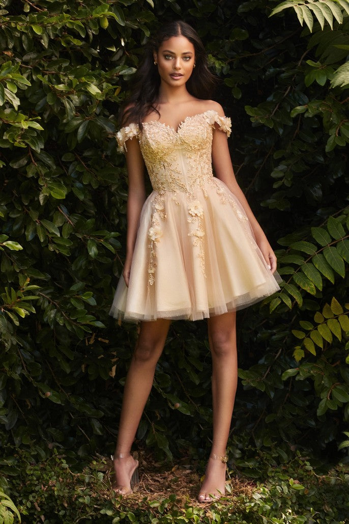Cinderella Divine - Short Lace A- Line Off The Shoulder Dress  #CD0194
