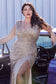 Cinderella Divine Fitted Curvy Sequin Dress  #CH198C