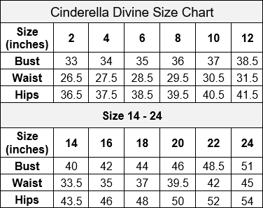 Cinderella Divine STRAPLESS 3D FLORAL GOWN CB080